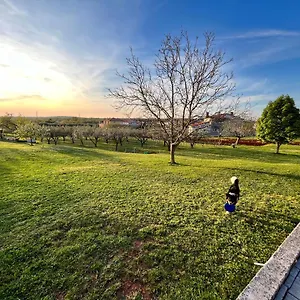 Apartment Danica, Valtura